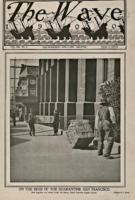 Эпидемия бубонной чумы в США. 6 марта 1900 г.